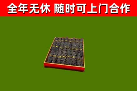 京山回收海参